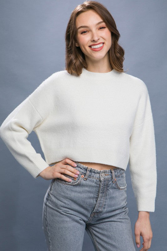 Wool Blend Cropped Sweater Top GOTIQUE Collections